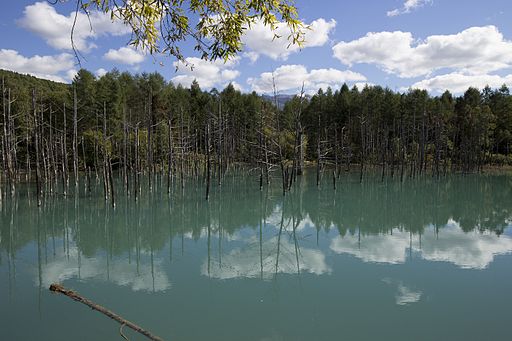 blue-pond