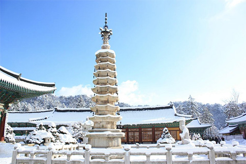 Woljeongsa Temple Stay