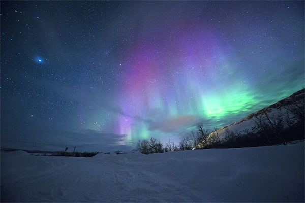 Witness the Northern Lights