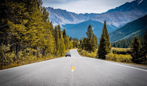 Road Trip