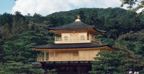pagoda-surrounded-with-trees