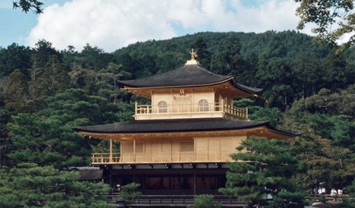 pagoda-surrounded-with-trees