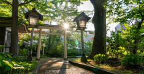 Shinto Shrines