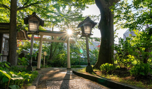 Shinto Shrines