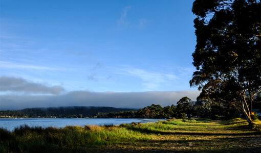 Tasmania