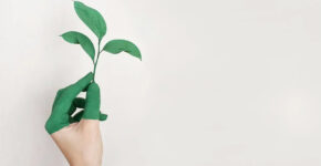 Sustainable Travel