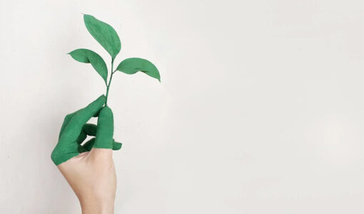 Sustainable Travel
