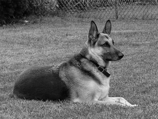 Safety, Security, and Basic Comfort